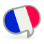 French flag icon